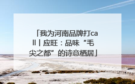 我为河南品牌打call丨应旺：品味“毛尖之都”的诗意栖居