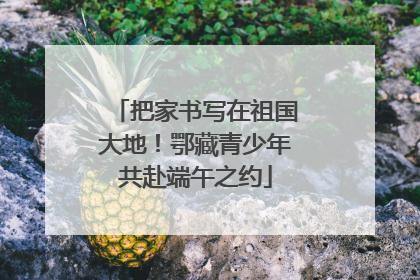把家书写在祖国大地！鄂藏青少年共赴端午之约
