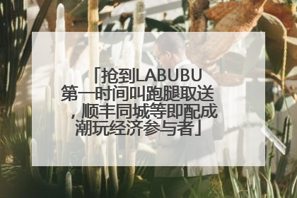 抢到LABUBU第一时间叫跑腿取送，顺丰同城等即配成潮玩经济参与者