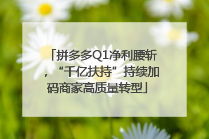 拼多多Q1净利腰斩，“千亿扶持”持续加码商家高质量转型