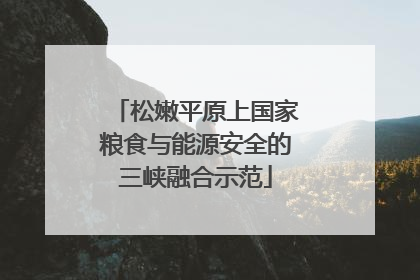 松嫩平原上国家粮食与能源安全的三峡融合示范