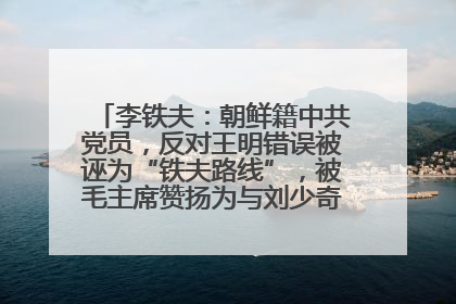 李铁夫：朝鲜籍中共党员，反对王明错误被诬为“铁夫路线”，被毛主席赞扬为与刘少奇并列的正确路线代表