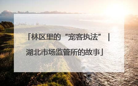 林区里的“宠客执法”｜湖北市场监管所的故事