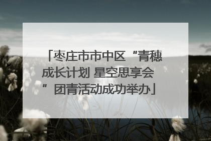 枣庄市市中区“青穗成长计划 星空思享会”团青活动成功举办
