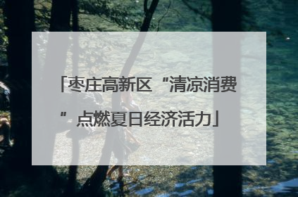 枣庄高新区“清凉消费”点燃夏日经济活力