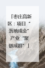 枣庄高新区：项目“落地成金” 产业“聚链成群”
