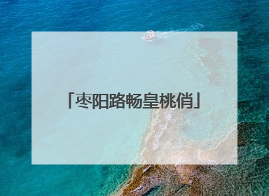 枣阳路畅皇桃俏