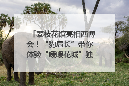 攀枝花馆亮相西博会！“豹局长”带你体验“暖暖花城”独特魅力｜西博视界