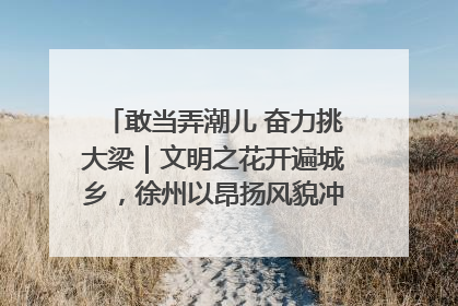敢当弄潮儿 奋力挑大梁｜文明之花开遍城乡，徐州以昂扬风貌冲刺“万亿之城”