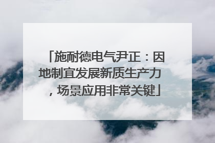施耐德电气尹正：因地制宜发展新质生产力，场景应用非常关键