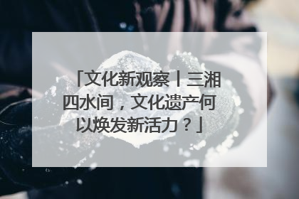 文化新观察丨三湘四水间，文化遗产何以焕发新活力？