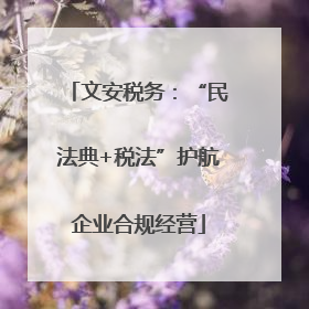 文安税务：“民法典+税法”护航企业合规经营