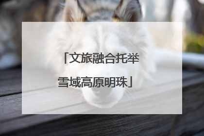 文旅融合托举雪域高原明珠