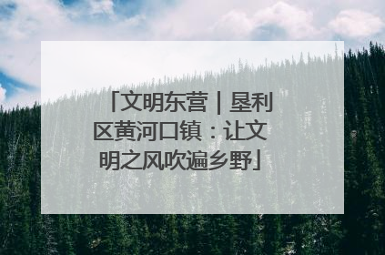 文明东营｜垦利区黄河口镇：让文明之风吹遍乡野