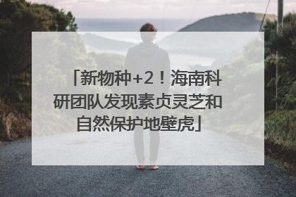 新物种+2！海南科研团队发现素贞灵芝和自然保护地壁虎