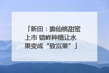 新田：脆仙桃甜蜜上市 错峰种植让水果变成“致富果”