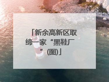 新余高新区取缔一家“黑鞋厂”(图)