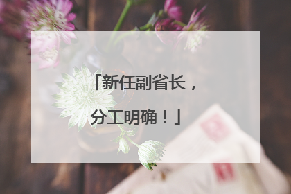 新任副省长，分工明确！