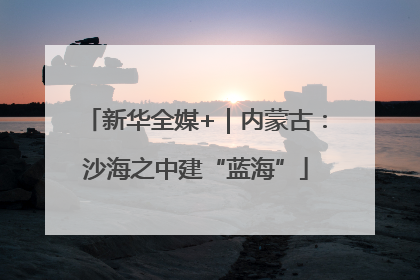 新华全媒+｜内蒙古：沙海之中建“蓝海”