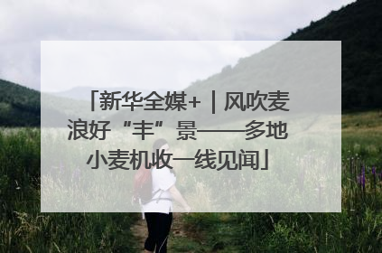 新华全媒+｜风吹麦浪好“丰”景——多地小麦机收一线见闻