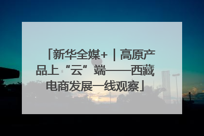 新华全媒+｜高原产品上“云”端——西藏电商发展一线观察