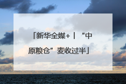 新华全媒+丨“中原粮仓”麦收过半