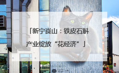 新宁崀山：铁皮石斛产业绽放“花经济”