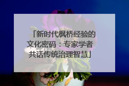 新时代枫桥经验的文化密码：专家学者共话传统治理智慧