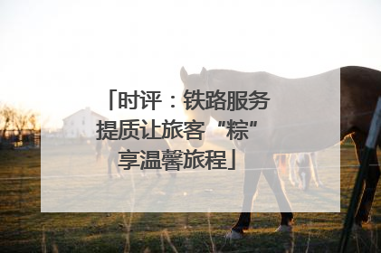 时评：铁路服务提质让旅客“粽”享温馨旅程
