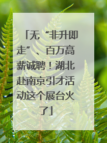无“非升即走”、百万高薪诚聘！湖北赴南京引才活动这个展台火了