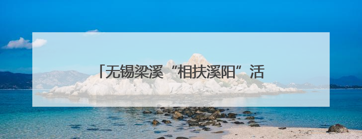 无锡梁溪“相扶溪阳”活动开启科技助老新篇章