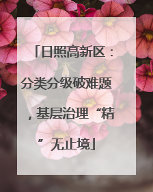 日照高新区：分类分级破难题，基层治理“精”无止境