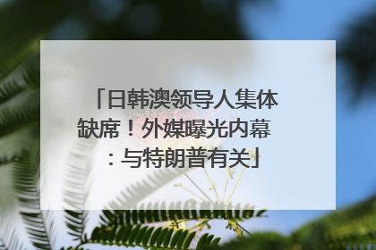 日韩澳领导人集体缺席！外媒曝光内幕：与特朗普有关
