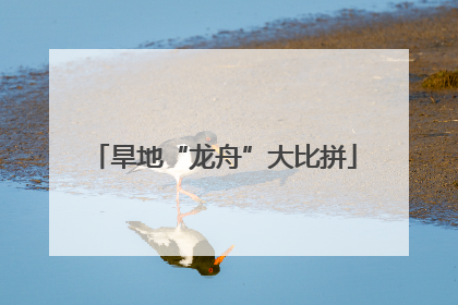 旱地“龙舟”大比拼