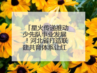 星火传递推动少先队事业发展！河北省打造联建共育体系让红领巾更鲜艳