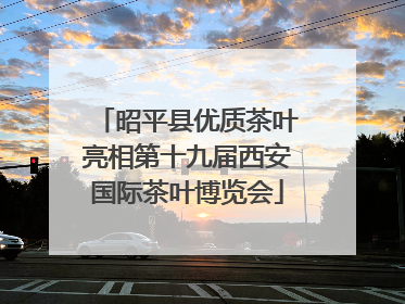 昭平县优质茶叶亮相第十九届西安国际茶叶博览会