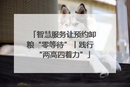 智慧服务让预约卸粮“零等待”丨践行“两高四着力”