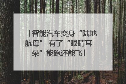 智能汽车变身“陆地航母” 有了“眼睛耳朵”能跑还能飞