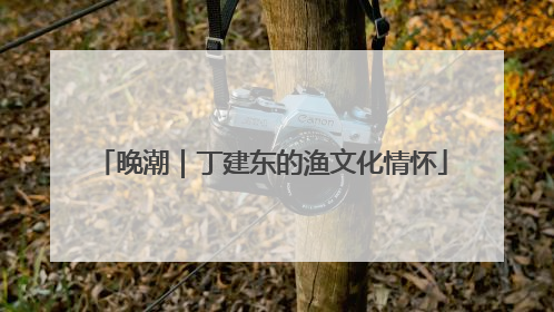 晚潮｜丁建东的渔文化情怀