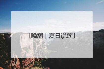 晚潮｜夏日说莲
