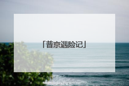普京遇险记