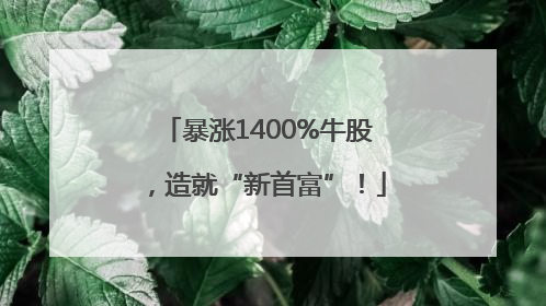暴涨1400%牛股，造就“新首富”！