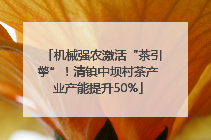 机械强农激活“茶引擎”！清镇中坝村茶产业产能提升50%