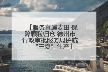 服务直通麦田 保障颗粒归仓 德州市行政审批服务局护航“三夏”生产
