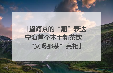 望海茶的“潮”表达 宁海首个本土新茶饮“又喝那茶”亮相