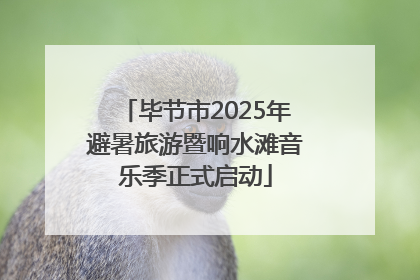 毕节市2025年避暑旅游暨响水滩音乐季正式启动
