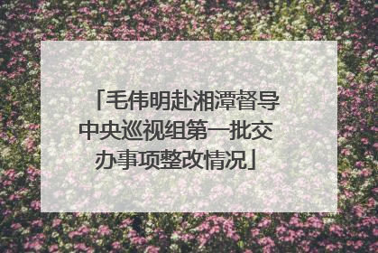 毛伟明赴湘潭督导中央巡视组第一批交办事项整改情况