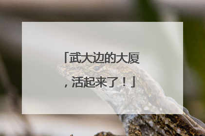 武大边的大厦，活起来了！