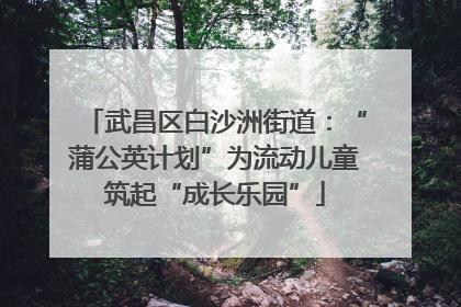 武昌区白沙洲街道：“蒲公英计划”为流动儿童筑起“成长乐园”
