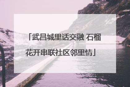 武昌城里话交融 石榴花开串联社区邻里情